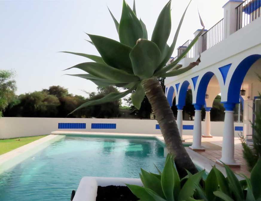 Villa De Lujo En Sancti Petri Novo Sancti Petri Ngoại thất bức ảnh